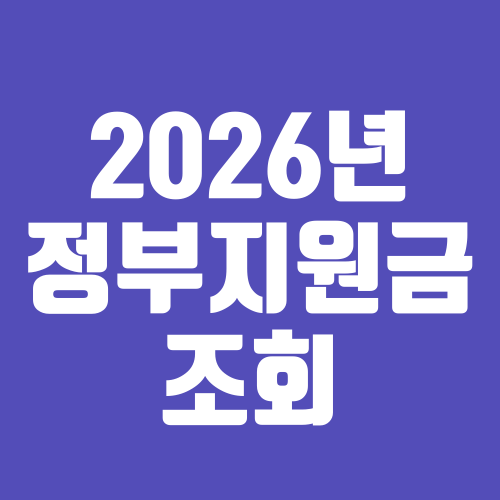 2026년 정부지원금 조회와 숨은 돈 찾기