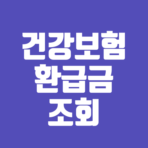 2026 건강보험 환급금 조회